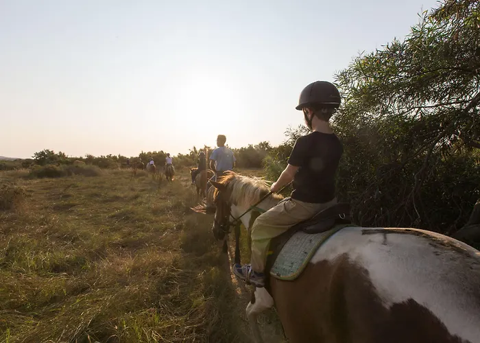 Hotel San Teodoro Hotel 4*